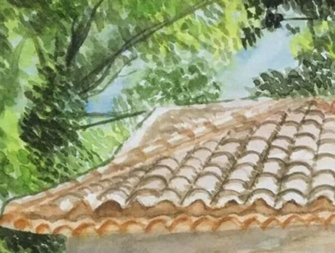 portfolio-image
