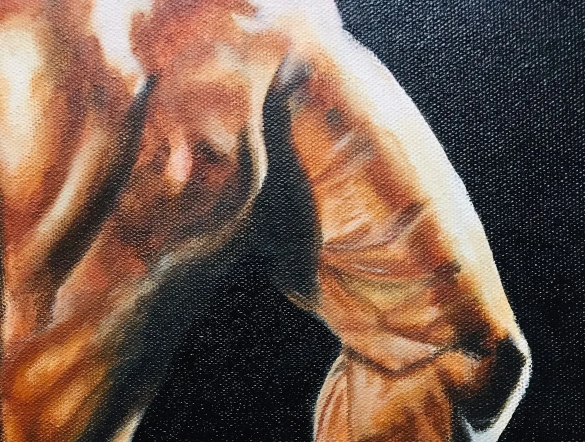 portfolio-image